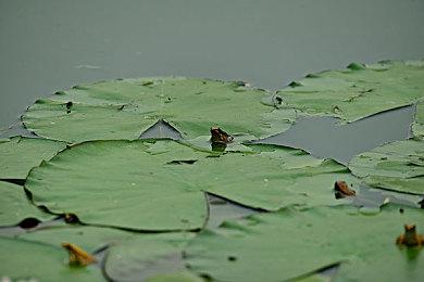 剧情游戏《命运游戏》Steam页面上线 发售日待定